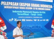 KKP Bantah Udang Tercemar Cesium-137: Kabar Lama!