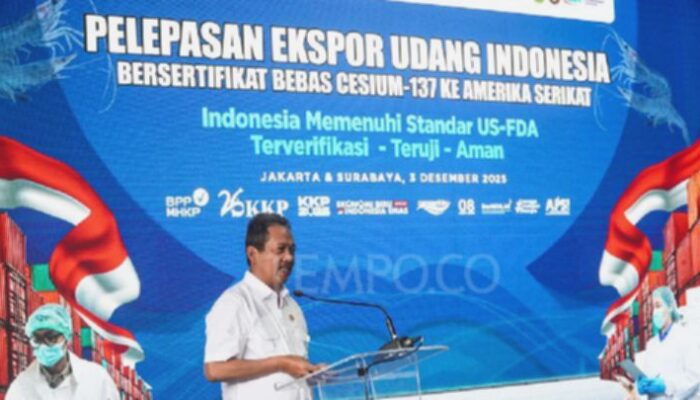 KKP Bantah Udang Tercemar Cesium-137: Kabar Lama!