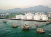 CDIA Bagi Dividen Interim: Jadwal dan Nilai Per Saham