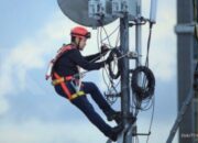 Prospek TOWR: Kebijakan BI Dorong Kinerja Sarana Menara Nusantara