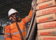 Semen Pulih 2026: Peluang Investasi SMGR & INTP?