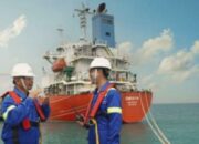 CDIA Revisi Jadwal Dividen Interim: Catat Tanggal dan Datanya!