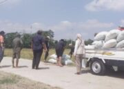 Stok Beras Jateng Aman Sampai Lebaran 2026, Bulog Jamin!