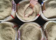 Atasi Harga Beras Naik: Ini Saran Ampuh untuk Pemerintah!