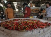 Harga Cabai dan Bawang Medan Melonjak Awal Tahun