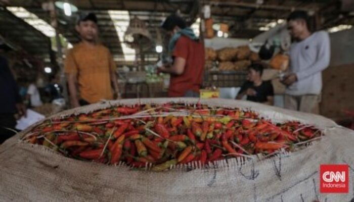 Harga Cabai dan Bawang Medan Melonjak Awal Tahun