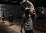 Beras Surplus, Bapanas Klaim Indonesia Swasembada Pangan