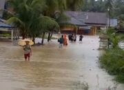 UGM Terjunkan Teknologi, Pulihkan Sumatera Pasca Bencana