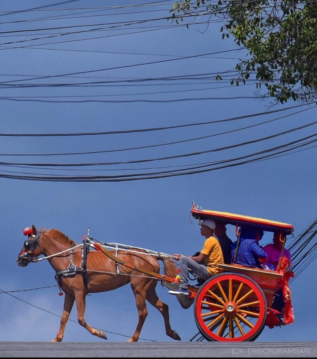 wako-bukittinggi-rencanakan-pemindahan-kabel-pln-dan-telepon-ke-dalam-tanah