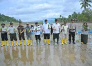 Kementan Gerak Cepat Pulihkan Lahan Pertanian Solok Terdampak