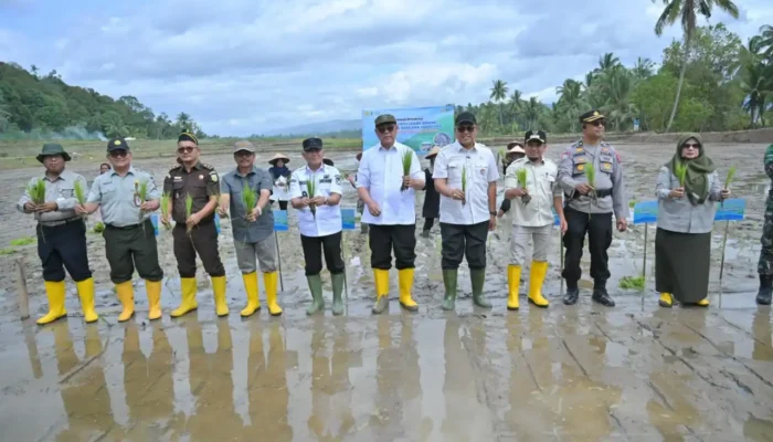 Kementan Gerak Cepat Pulihkan Lahan Pertanian Solok Terdampak