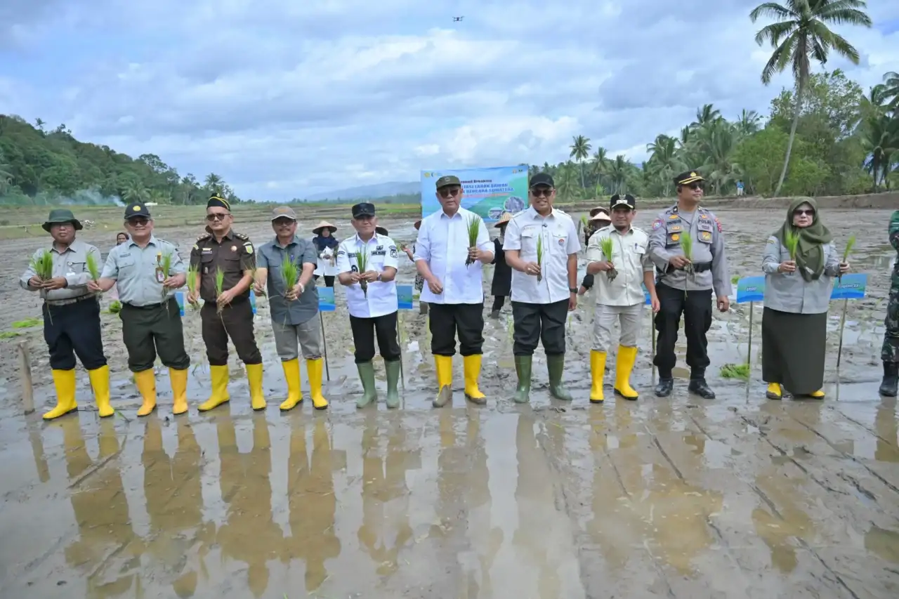 pemerintah-mulai-melakukan-rehabilitasi-lahan-pertanian-terdampak-bencana-di-sumbar