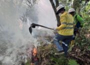 NHM Tingkatkan Keselamatan, Kelola Risiko Operasi Pertambangan Berkelanjutan