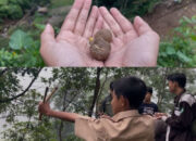 UNP Tanam Bola Benih, Pulihkan Lahan Pasca Bencana