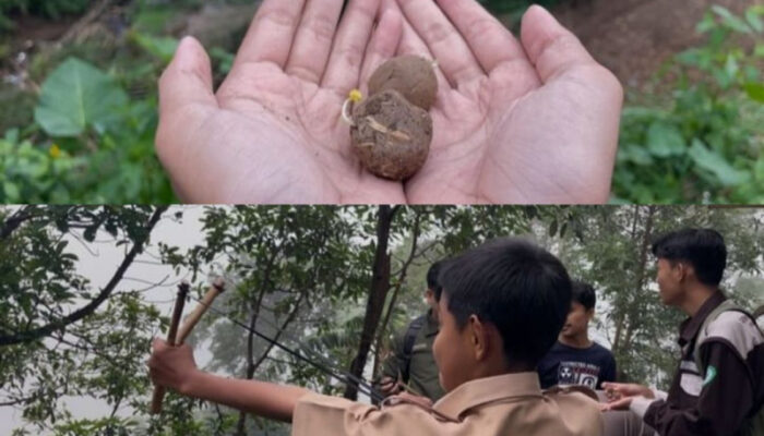 UNP Tanam Bola Benih, Pulihkan Lahan Pasca Bencana