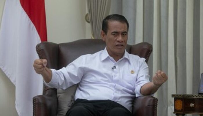 Mentan Ungkap Penyelundupan Beras, Daerah Asal Tak Bersawah