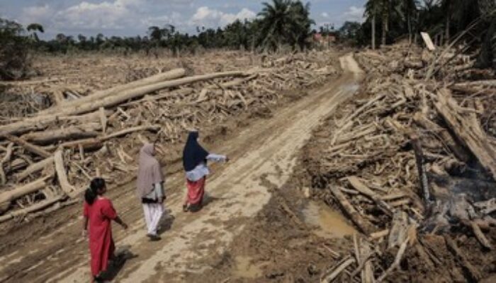 UMKM Sumatra Bangkit: Rp93 Miliar Mengalir Pulihkan Usaha