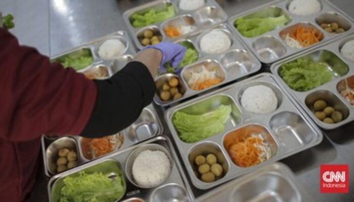 Bulog Siapkan Beras Premium, Penuhi Gizi Gratis dan Pertahanan