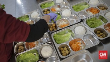 bos-bulog-pastikan-beras-premium-bakal-dipakai-untuk-mbg