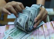 Rupiah Tertekan Dolar AS, Pemerintah Diminta Segera Bertindak