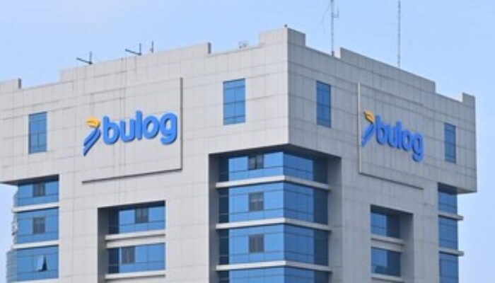 Bulog Langsung Presiden: Pengamat Soroti Potensi Monopoli Pangan