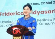 friderica-widyasari-rangkap-jabatan-ketua-dan-wakil-ketua-ojk