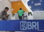 BBRI Anjlok: Analis Ungkap Strategi Investasi Saham BRI