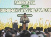 Swasembada Pangan Diklaim Pemerintah: Benarkah Sudah Tercapai?