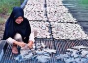 Perempuan Pesisir Balikpapan Olah Ikan, Ekonomi Keluarga Meningkat