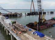 Food Estate Merauke Pacu Infrastruktur, Perkuat Pangan Nasional