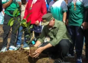 Alumni Unand Gerakkan Sumbar Menanam, Menghijaukan Bukit