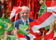 Brasil-India Bersatu, Mendesak Reformasi Dewan Keamanan PBB