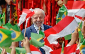 Brasil-India Bersatu, Mendesak Reformasi Dewan Keamanan PBB