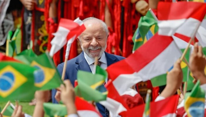 Brasil-India Bersatu, Mendesak Reformasi Dewan Keamanan PBB