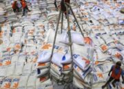 Indonesia Impor Beras, Ayam AS: Industri Lokal Terguncang?