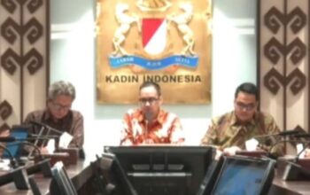 Kadin Mendesak Regulasi Digital Lindungi Inovasi, Dorong Pertumbuhan