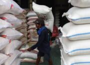 Mentan Amankan Impor Beras AS, Genjot Ekspor Beras