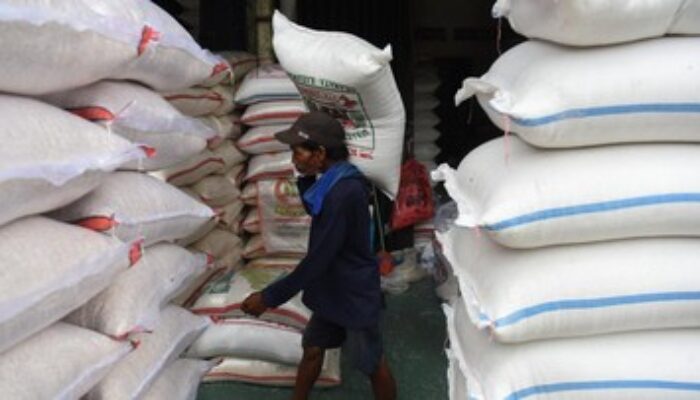 Mentan Amankan Impor Beras AS, Genjot Ekspor Beras