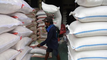 amran-soal-impor-1.000-ton-beras-dari-as:-itu-beras-khusus