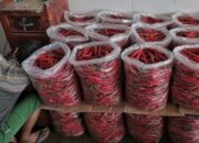 Harga Bahan Pokok Jakarta Naik, Cabai Meroket Tajam