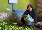 cerita-penjual-daun-jeruk-di-bali-kini-punya-rumah-berkat-pnm-mekaar