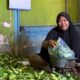 cerita-penjual-daun-jeruk-di-bali-kini-punya-rumah-berkat-pnm-mekaar