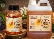 BeeFam’s Kembangkan Usaha Madu Trigona Bersama LinkUMKM BRI