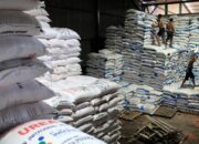 Perebutan Pupuk Global Memicu Kekhawatiran Harga Pangan Melonjak