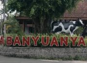 Banyuanyar Berdaya: Desa Kolaborasi Lahirkan UMKM Unggulan