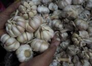 Mendag Jamin Harga Bawang Putih, Kedelai Terkendali