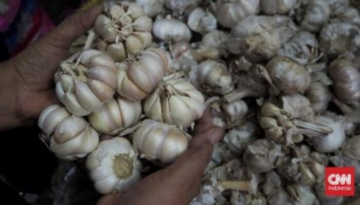 Mendag Jamin Harga Bawang Putih, Kedelai Terkendali