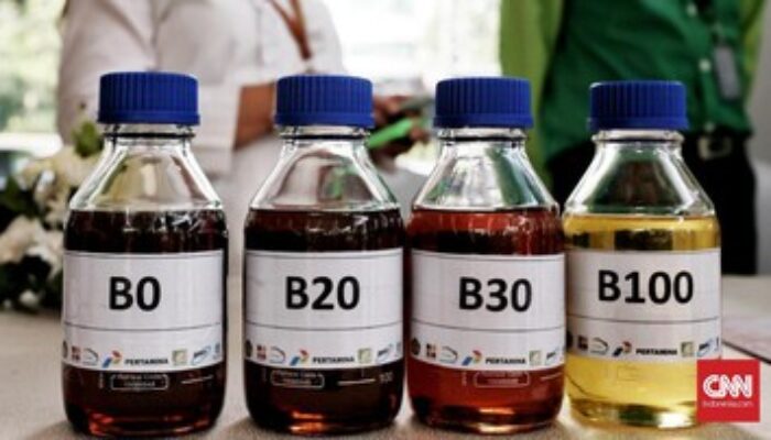 Biofuel E20 Gantikan Pertalite, Pemerintah Genjot Produksi Etanol