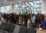 Laut Padat, Penyeberangan Lebaran Layani Jutaan Pemudik