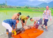 Mayat Gegerkan Pesisir Selatan, Polisi Lakukan Penyelidikan Mendalam